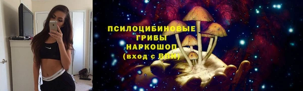 таблы Алзамай