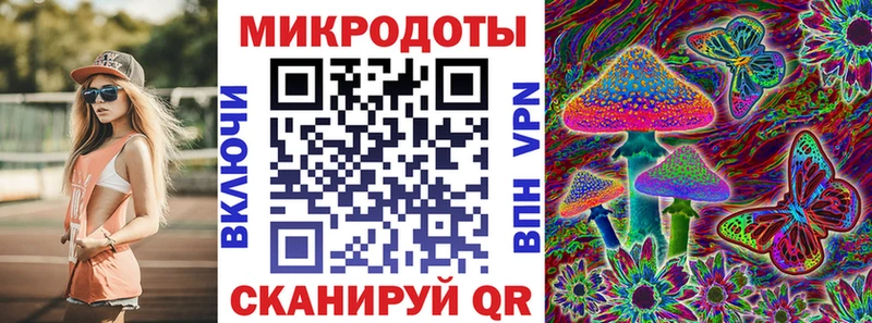 Галлюциногенные грибы мицелий  купить   дарк нет состав  Тулун 