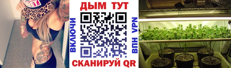 Каннабис сатива  сколько стоит  Тулун 